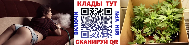 Все наркотики Ногинск KRAKEN tor  Кокаин  Меф мяу мяу  Галлюциногенные грибы  Марихуана  ГАШИШ  Лсд 25 